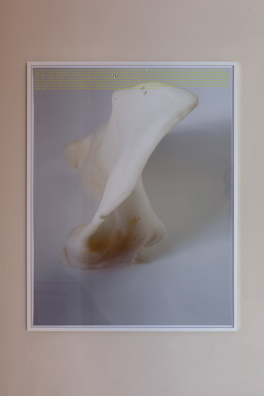 Lisa HolzerInducement, 2016Pigment print on cotton paper, Crystal Clear polyurethane on glass92 x 72 cm