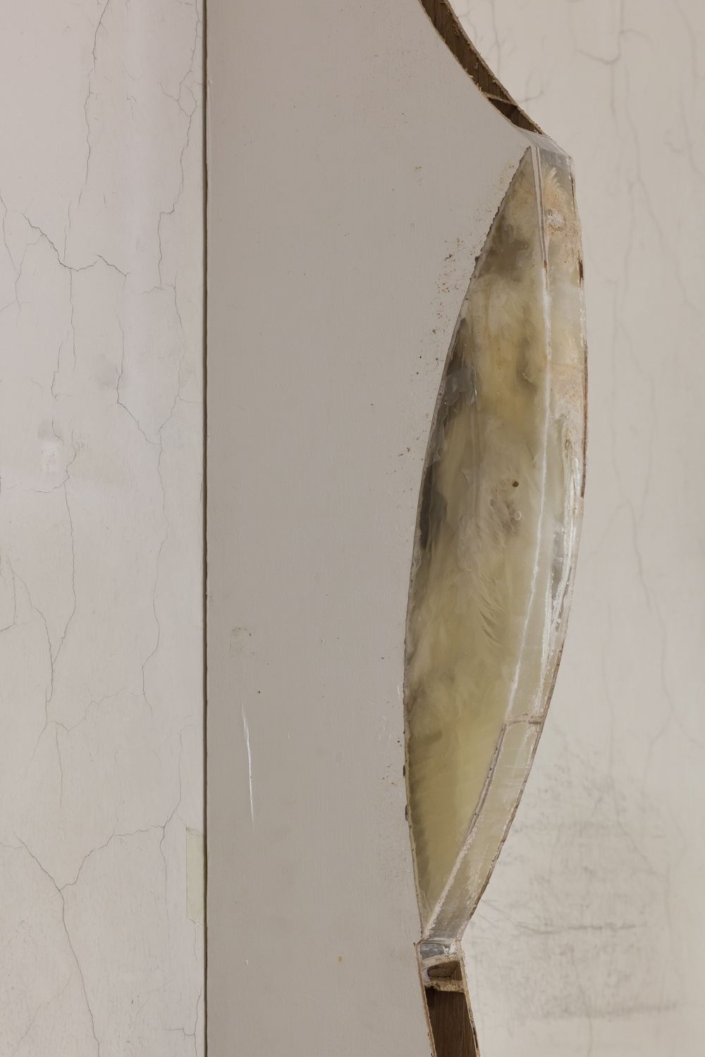 Michael E. SmithUntitled, 2019Door, pigeon, plastic 191.8 x 5.7 x 25.4 cm