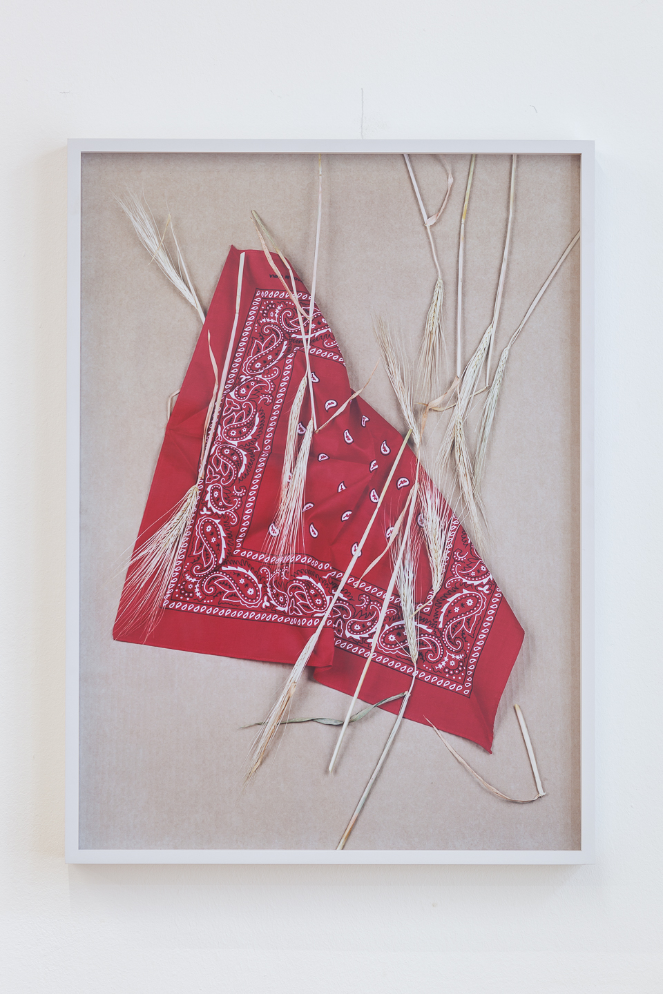 Annette Kelm,Paisey and Wheat Red, 2013C-print, framed, 59,0 x 42,8 cmEdition 4/6 + 2 AP