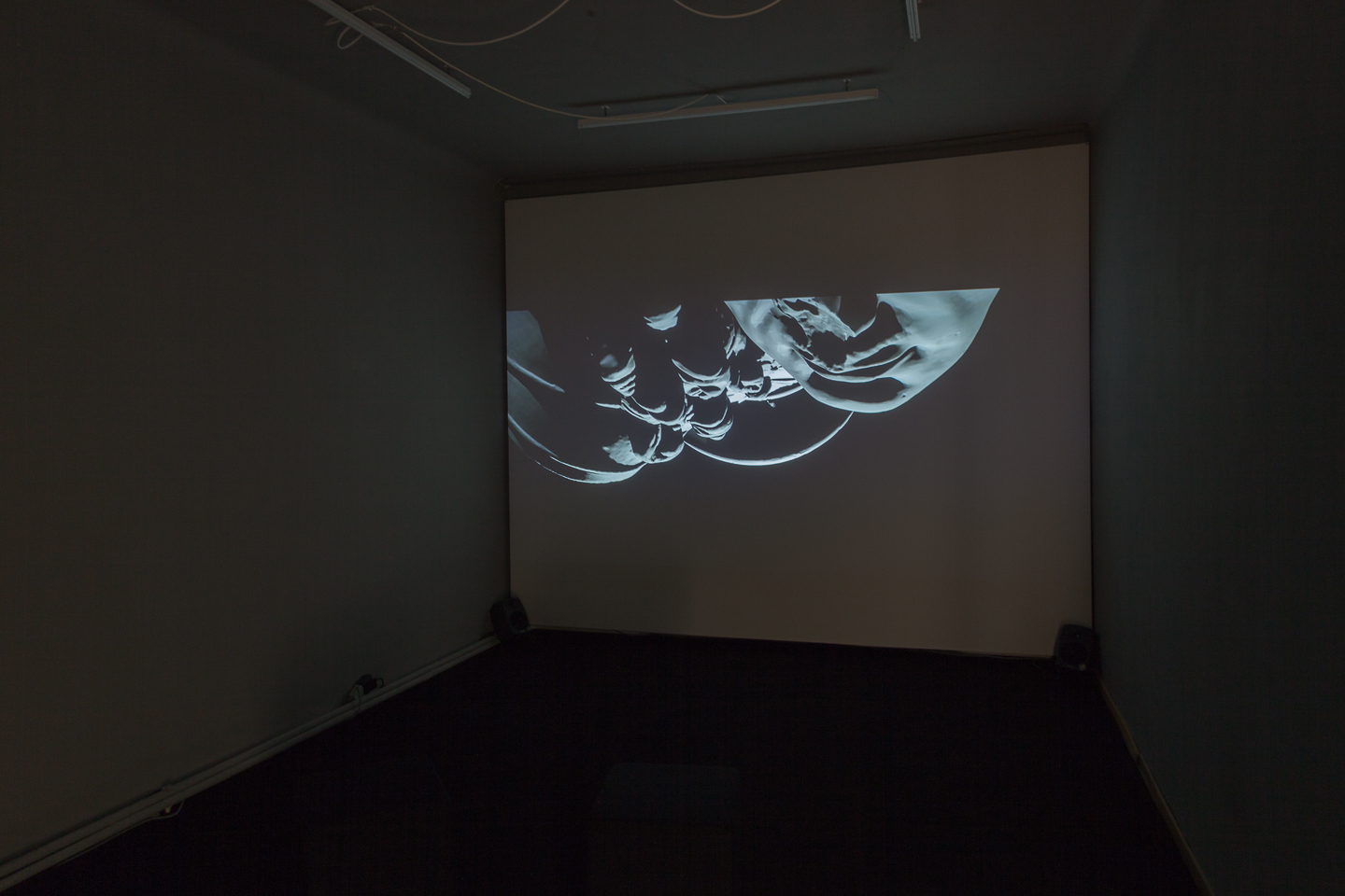 Clemens von Wedemeyer*1974 in Göttingen, Germany, lives and works in BerlinVermin in the Sky, 2017Single channel HD video installation, b/w, sound, 10 minEd 3/5 + 1 AP