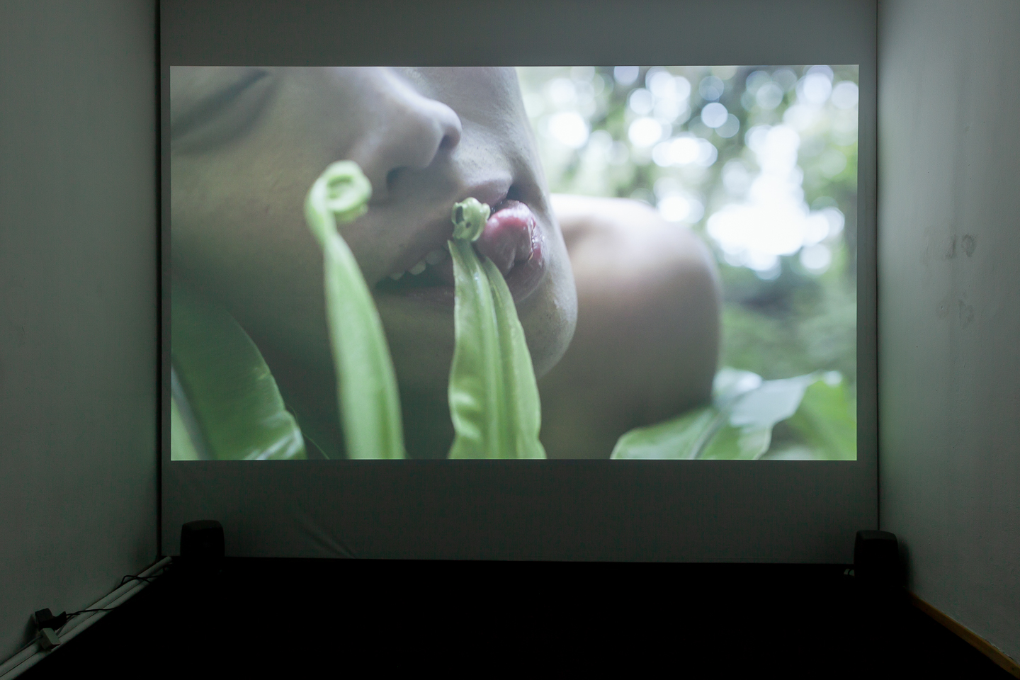 Zheng Bo*1974 in Beijing, lives and works in Hong KongPteridophilia II2018, 4K video, colour, sound, 20.00 min Edition 2/5 + 2 AP Photography: Flavio Palasciano
