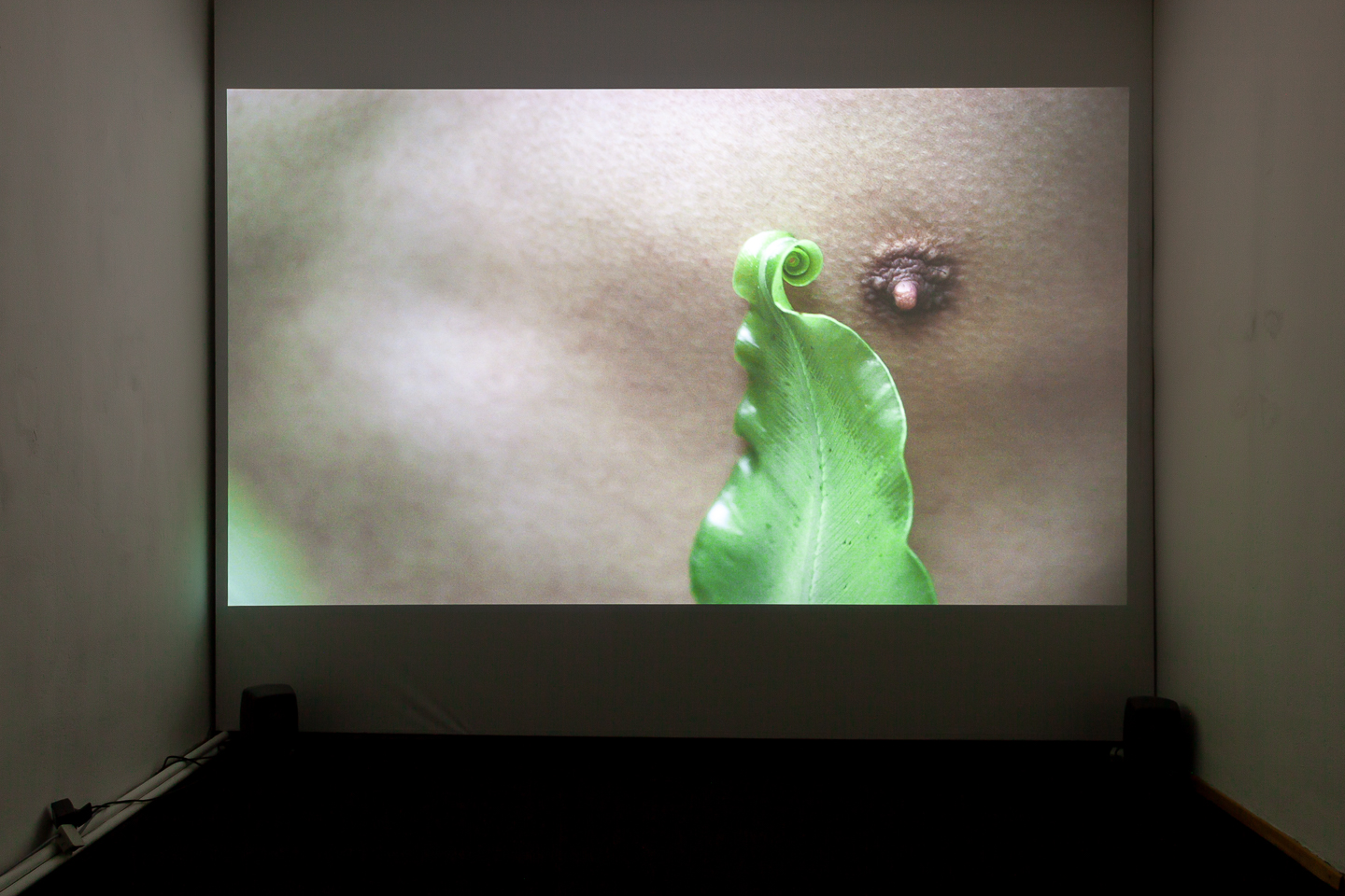 Zheng Bo*1974 in Beijing, lives and works in Hong KongPteridophilia II2018, 4K video, colour, sound, 20.00 min Edition 2/5 + 2 AP