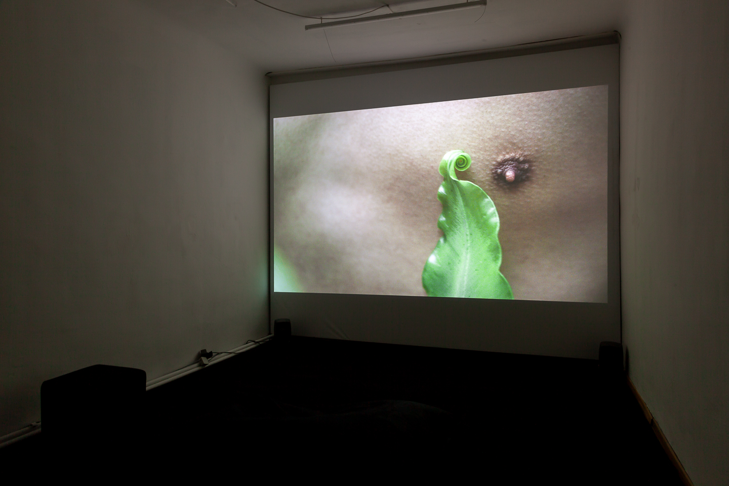 Zheng Bo*1974 in Beijing, lives and works in Hong KongPteridophilia II2018, 4K video, colour, sound, 20.00 min Edition 2/5 + 2 AP Photography: Flavio Palasciano