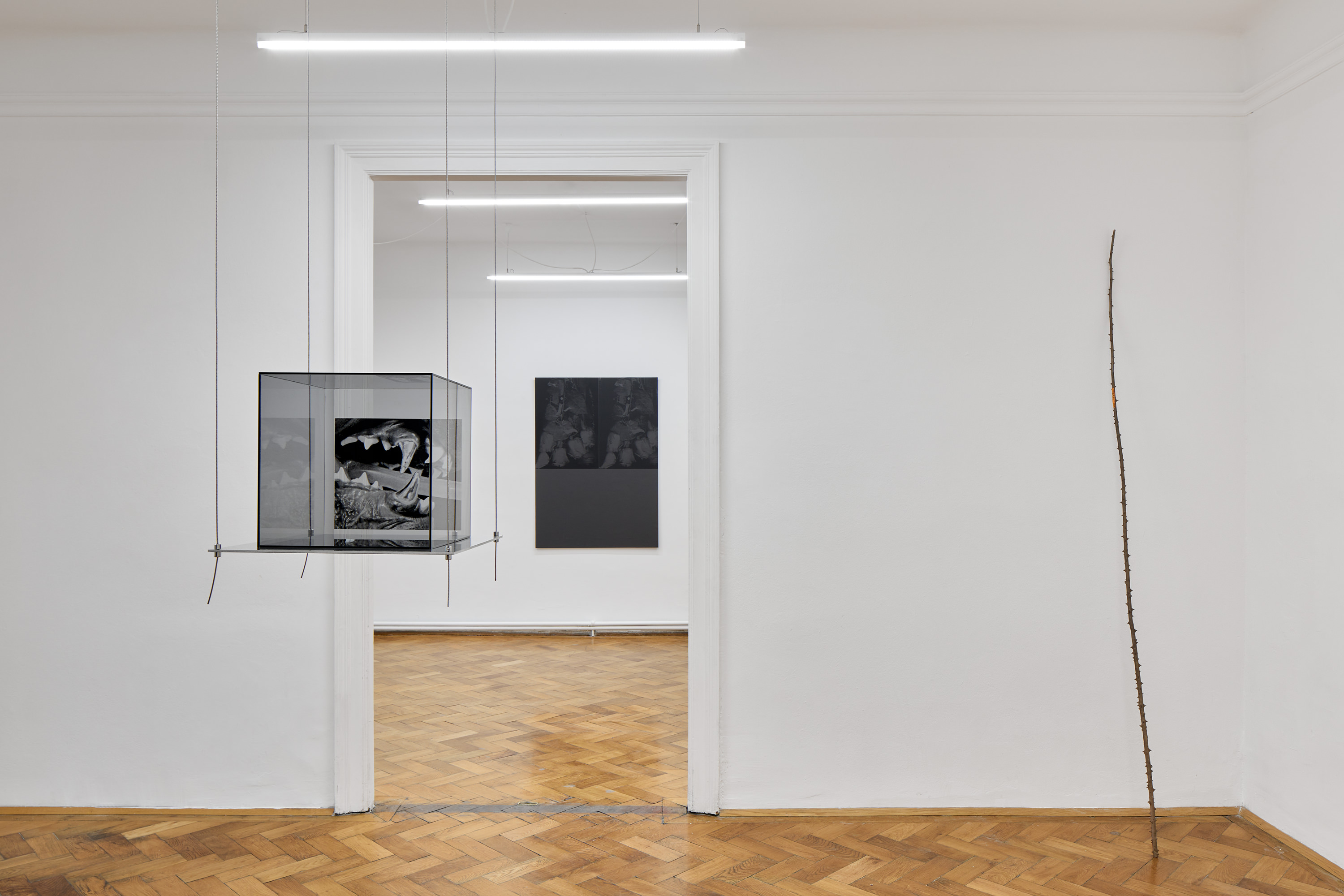 Martin Maeller, lethargic rays, 2023, installation view, UA26/Loggia, Vienna | Photo: Jan Kolsky