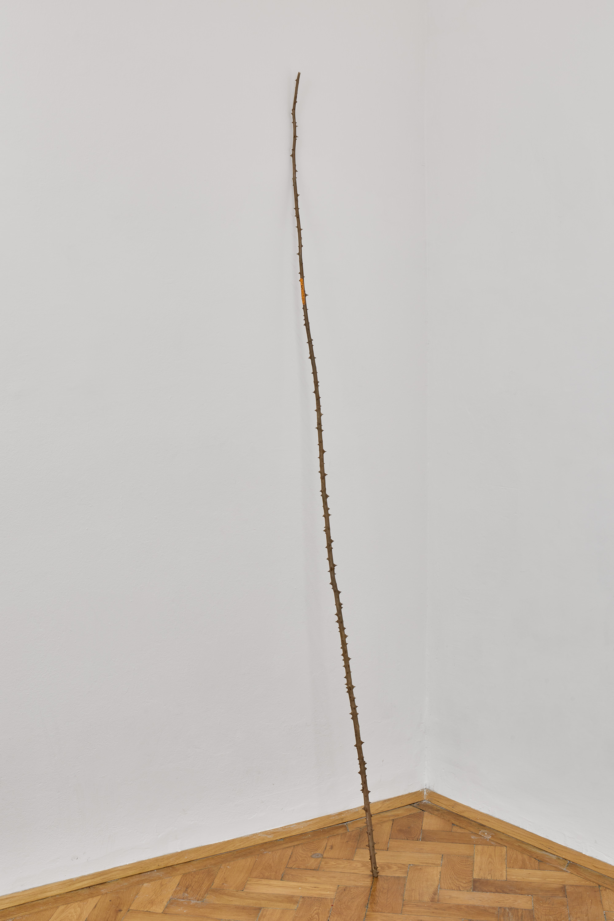 Martin Maeller, Untitled (soft sorrow), bronze, PVC, 232 x 2,5 x 2,5 cm, 2022 | Photo: Jan Kolsky