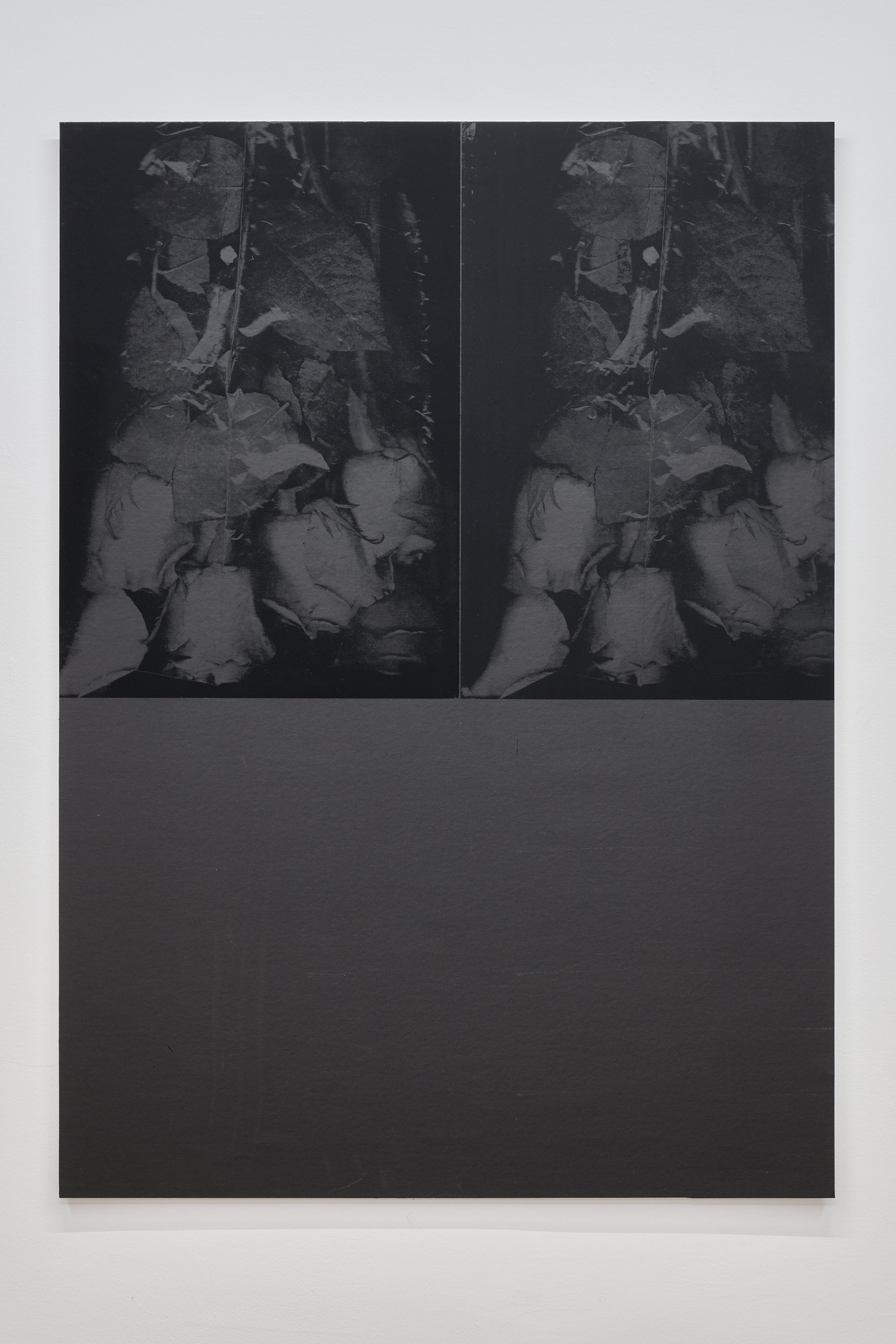 Martin Maeller, Untitled (roses II), silkscreen on abrasive paper, 135,8 x 98 cm,2023 | Photo: Jan Kolsky