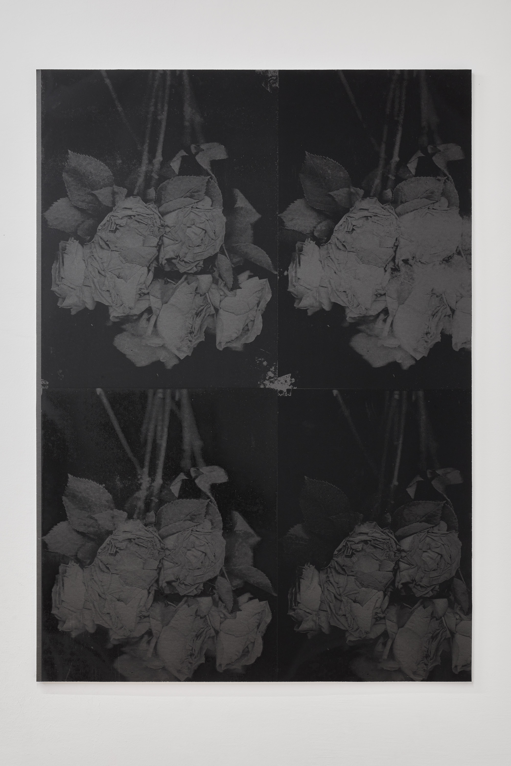 Martin Maeller, Untitled (roses III), silkscreen on abrasive paper, 137,5 x 98 cm,2023 | Photo: Jan Kolsky