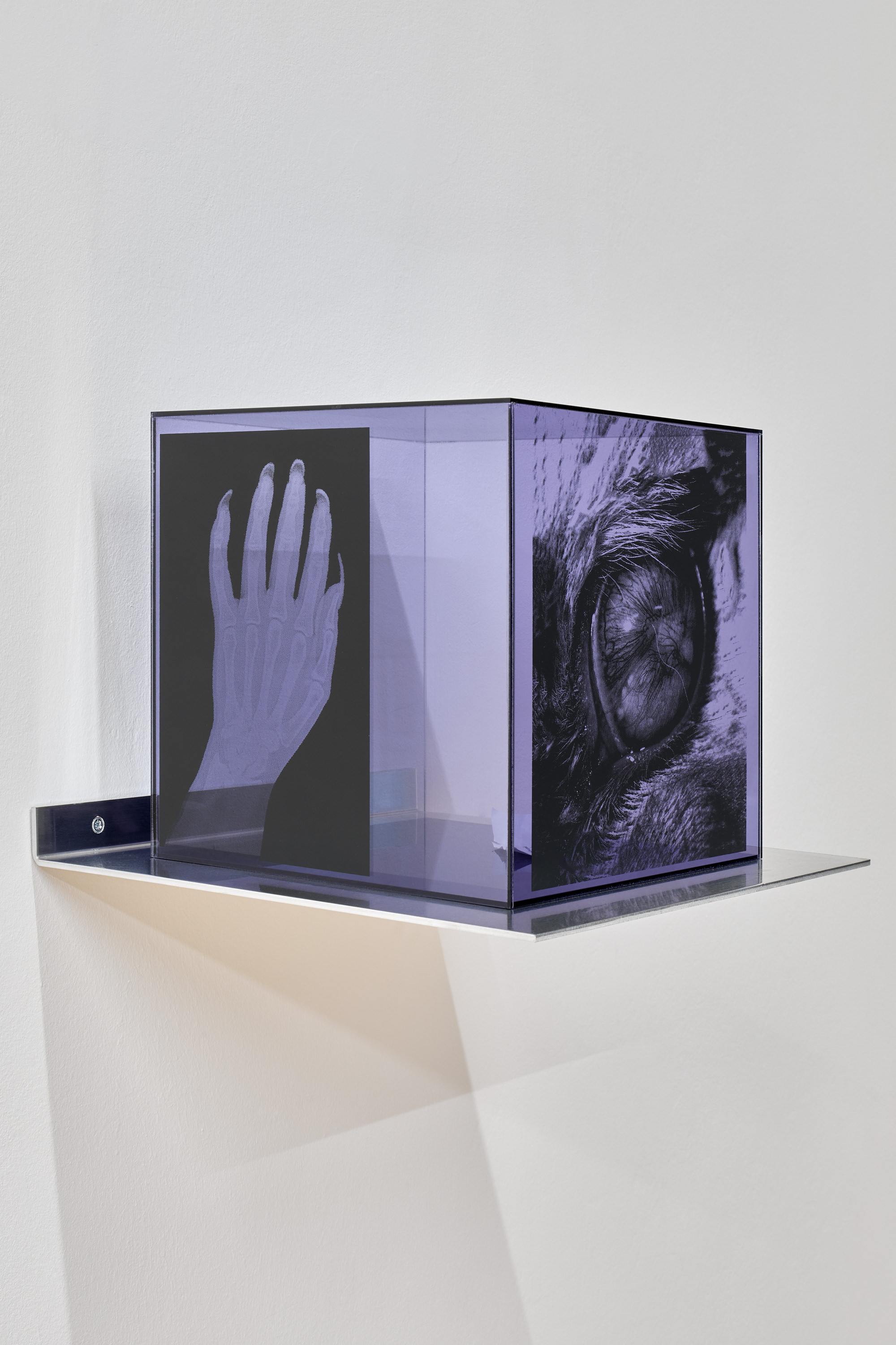 Martin Maeller, Untitled (cold world), silkscreen on PMMA, paper, 27 x 27 x 27 cm, 2023/2022 | Photo: Jan Kolsky